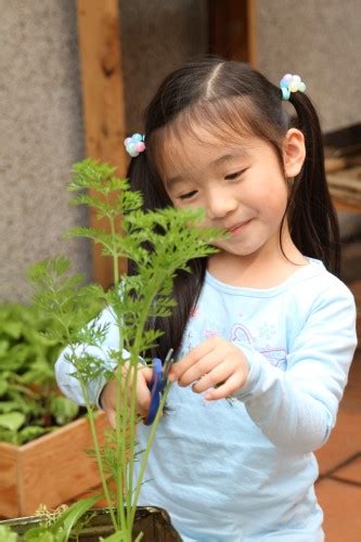 小朋友種植物|小小農夫學種菜：香草植物篇